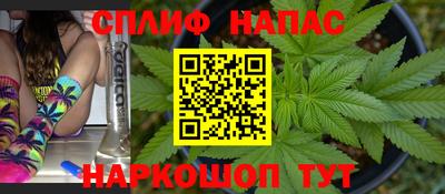 МДПВ Гай